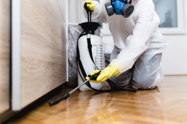 Best Wasp Removal Services  in Fort Lewis, WA