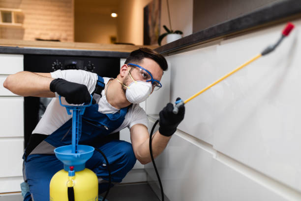 Best Affordable Pest Control Services  in Fort Lewis, WA