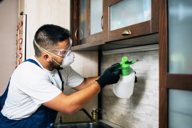 Best Pest Control for Homes  in Fort Lewis, WA