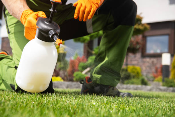 Best Commercial Pest Control Services  in Fort Lewis, WA