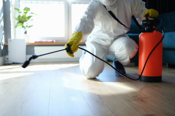 Best Best Pest Control Companies  in Fort Lewis, WA