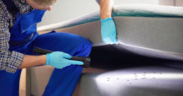 Best Pest Removal Services  in Fort Lewis, WA