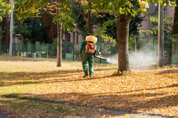 Wildlife Control Services in Fort Lewis, WA