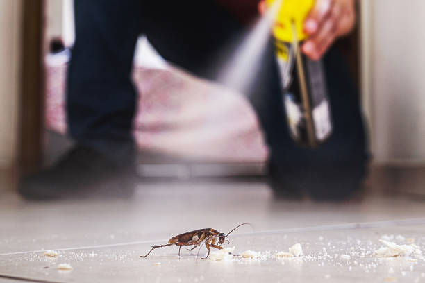 Best Wildlife Control Services  in Fort Lewis, WA