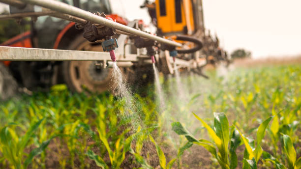 Best Insect Control  in Fort Lewis, WA
